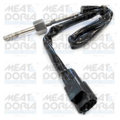 Sensor, exhaust gas temperature